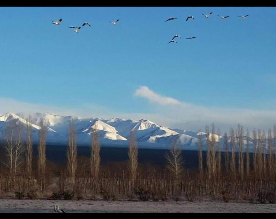 Rio Los Patos Barreal Eksteriør billede